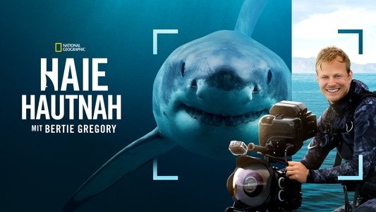 Sharks Up Close with Bertie Gregory