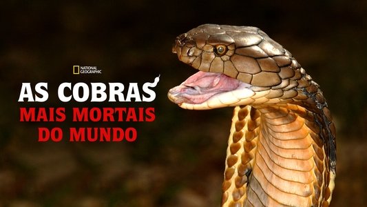 World's Deadliest Snakes