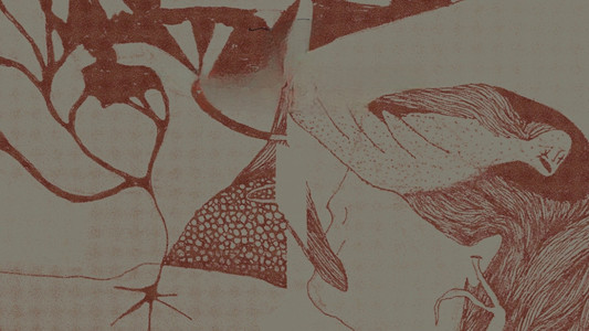 Nu mă lăsa să mor