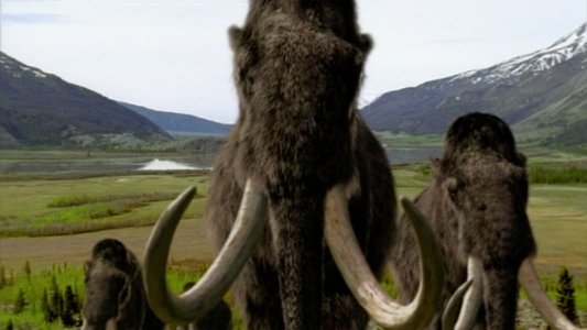 Walking with Beasts