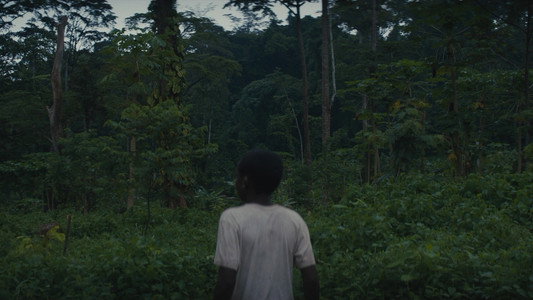 Beasts of No Nation