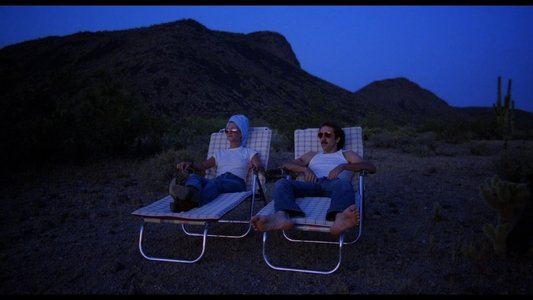 Raising Arizona