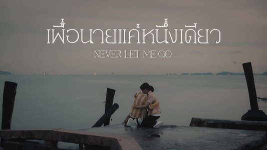 เพื่อนายแค่หนึ่งเดียว