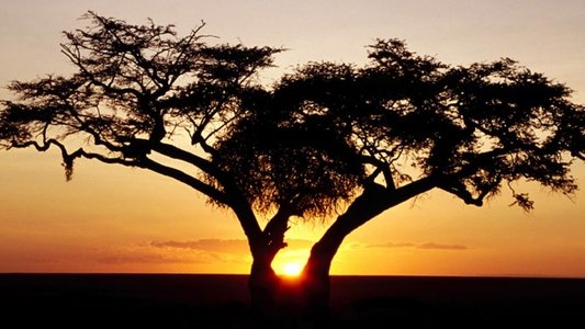 Africa