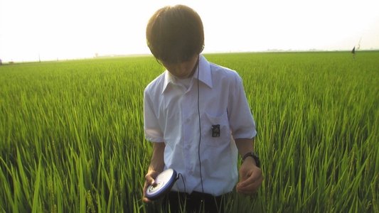 リリイ・シュシュのすべて