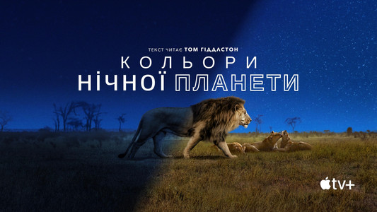 Earth at Night in Colour