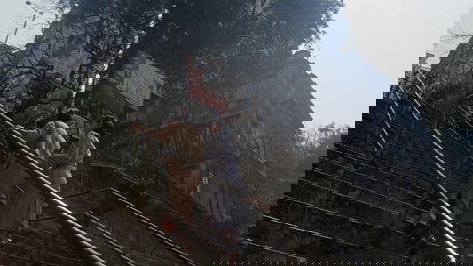 魔胎