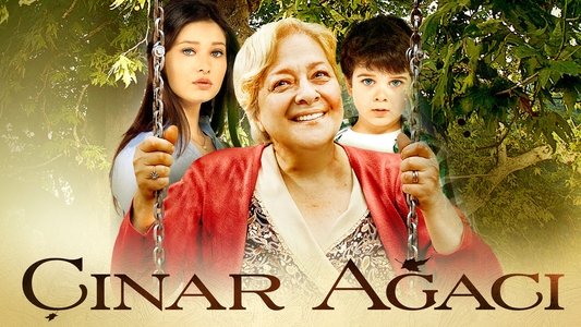 Çınar Ağacı