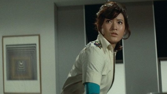 華麗なる追跡