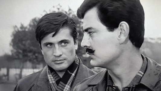 Gurbet Kuşları