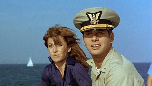 The Boatniks