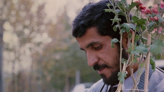 کلوزآپ ، نمای نزدیک