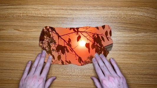 The World in Our Hands