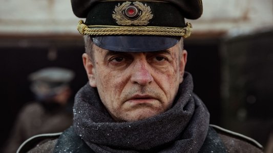 Rise of the Nazis