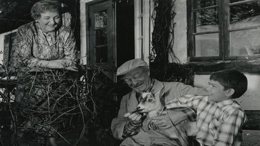 Den rige enke