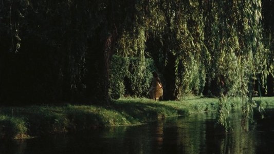 Un rêve plus long que la nuit