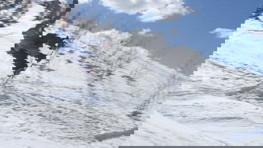 Warren Miller's Line of Descent