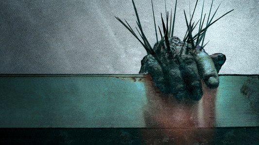 Splinter
