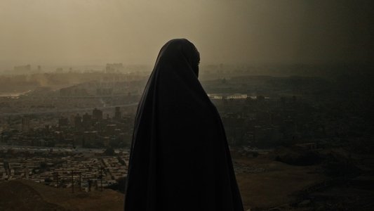 عائشة لم تعد قادرة على الطيران