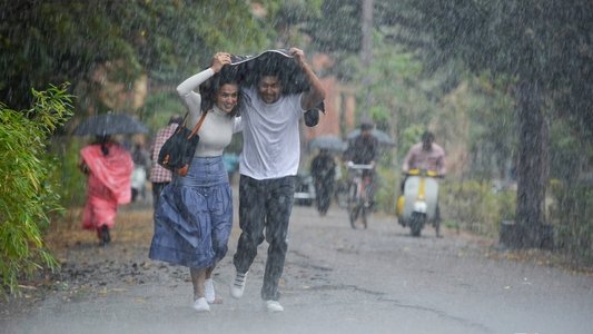 జెర్సీ