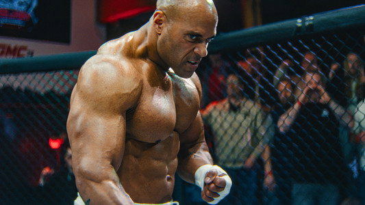 Lion Fist