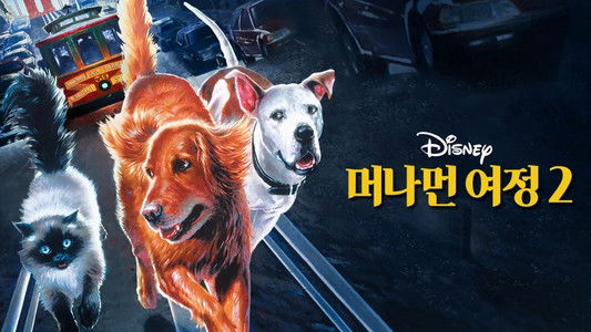 Homeward Bound II: Lost in San Francisco