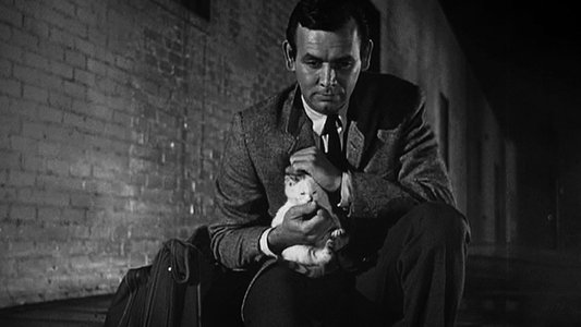 The Fugitive