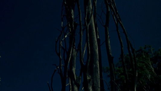 La Faute de l'abbé Mouret