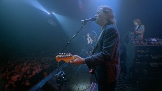 Pink Floyd: Delicate Sound of Thunder