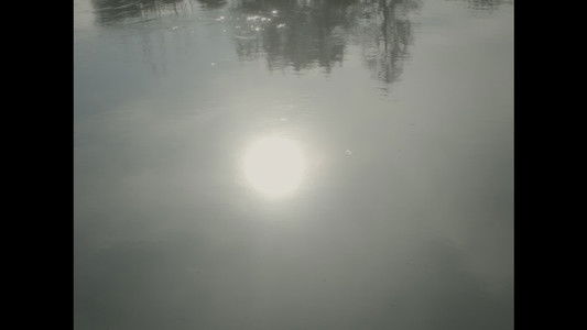 Les fées sont-elles réelles ?