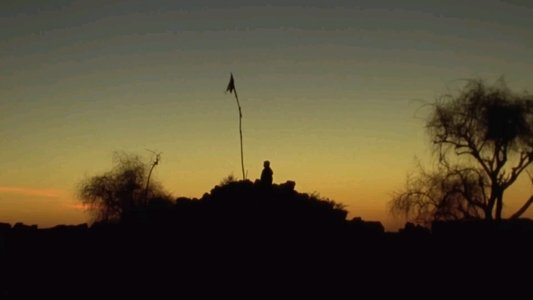 ધાડ