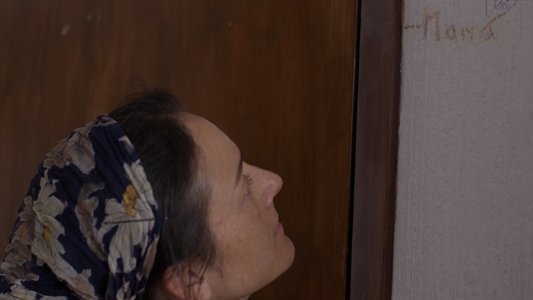 Sofía