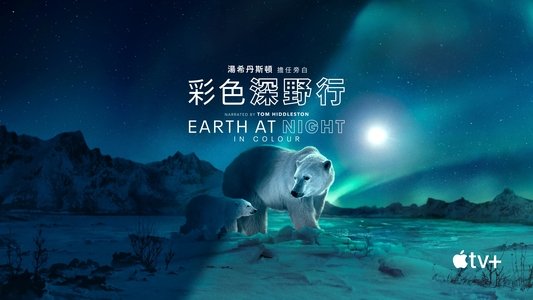 Earth at Night in Colour