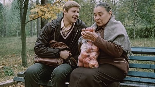 Деревья на асфальте
