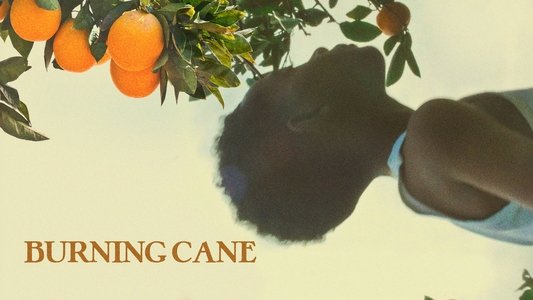 Burning Cane