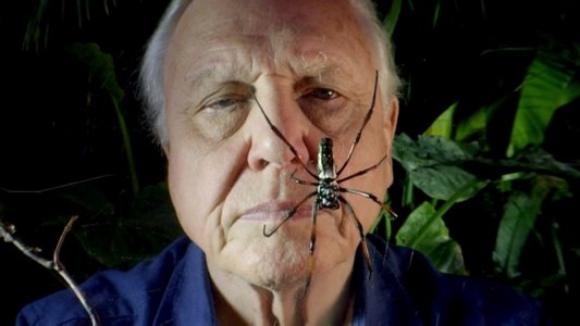 Micro Monsters with David Attenborough