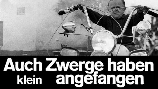 Auch Zwerge haben klein angefangen