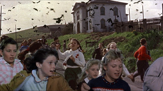 The Birds