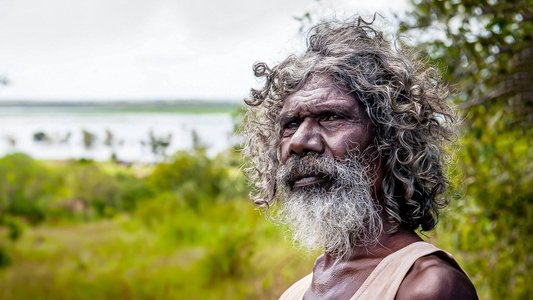 Charlie's Country