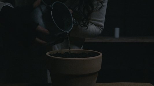 BLOOM - A Dystopian Short Film
