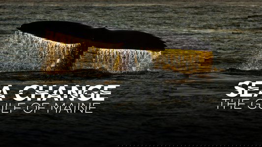Sea Change: The Gulf of Maine