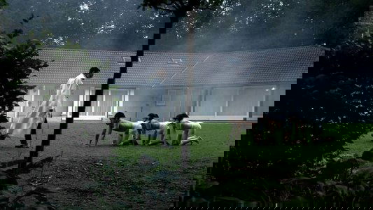 The Human Centipede (First Sequence)