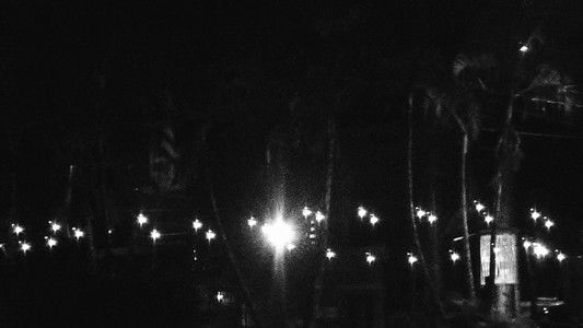 Eu Sonho com Uma Noite Tropical na Bela América do Sul