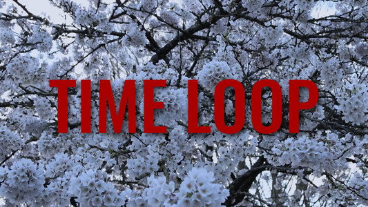 Time Loop