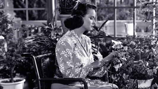 Walk Softly, Stranger