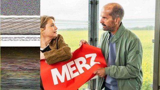 Merz gegen Merz - Geheimnisse