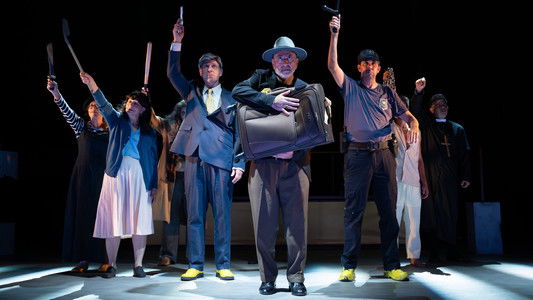 ביקור הגברת הזקנה