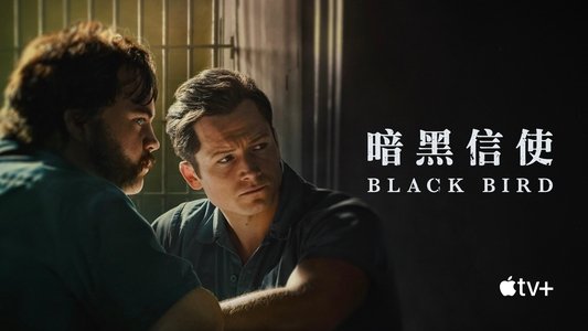Black Bird