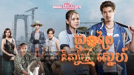ดอกหญ้าป่าคอนกรีต