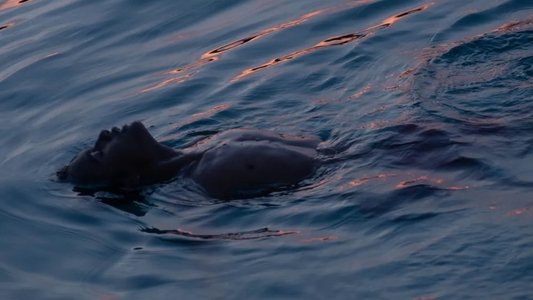 Buoyancy